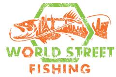 240x160 WSF logo